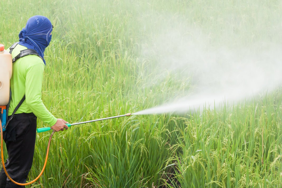 Spraying Pesticides