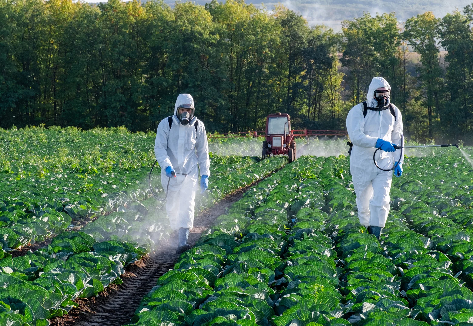 Pesticide Exposure